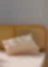 Pillowcases Tender Days Perfect Beige